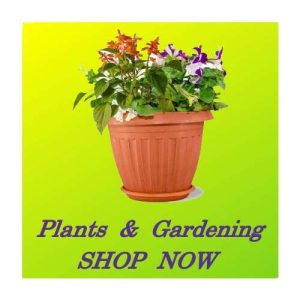 Plants & Gardening